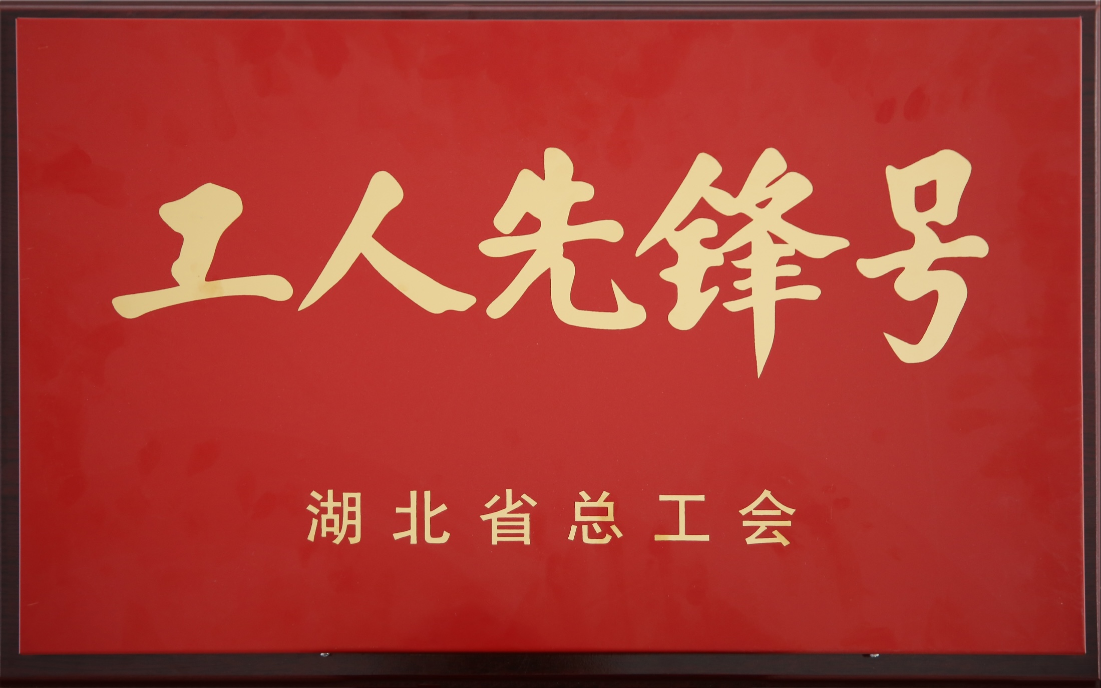 省部級(jí)：新冠滅活疫苗研制團(tuán)隊(duì)